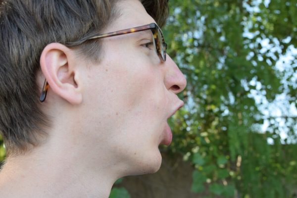 ..., die sich in allerhand Dingen batteln