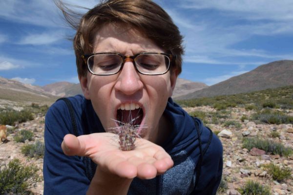 ..., who approach cacti in their own unique way