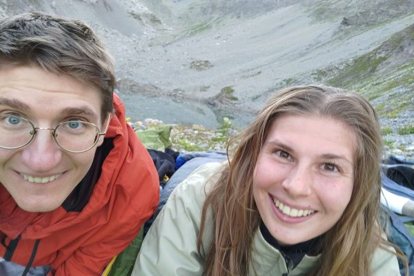 ... and like this, when they're in their natural habitat